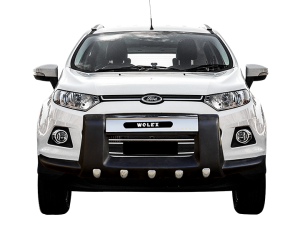 Ecosport